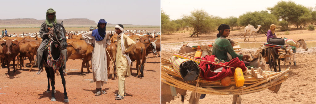 The tribes of northern Niger lead a semi-nomadic, livestock-centric lifestyle