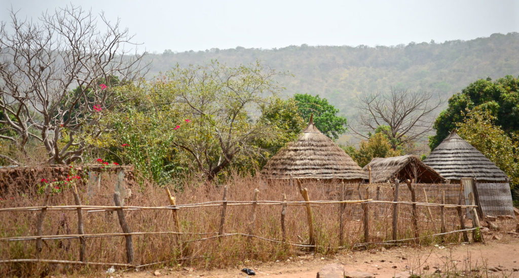 A traditional family homestead on the outskirts of Kedougou