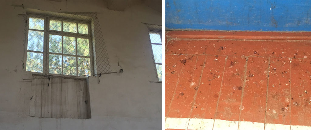 Broken window screens allow in birds that leave droppings all over the gym floor