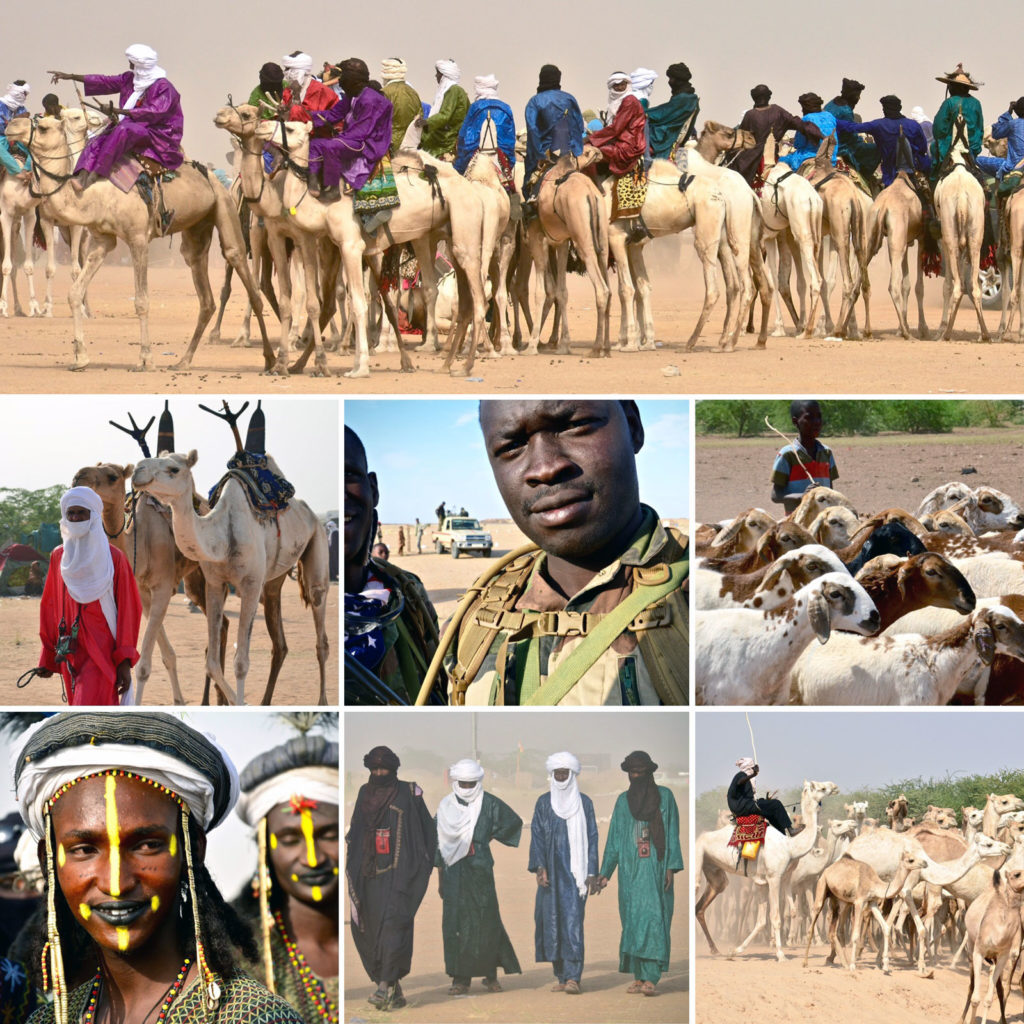 Every year the Cure Salée Brings together Fulani and Tuareg herders from across the Sahel to socialize, celebrate, and water their herds