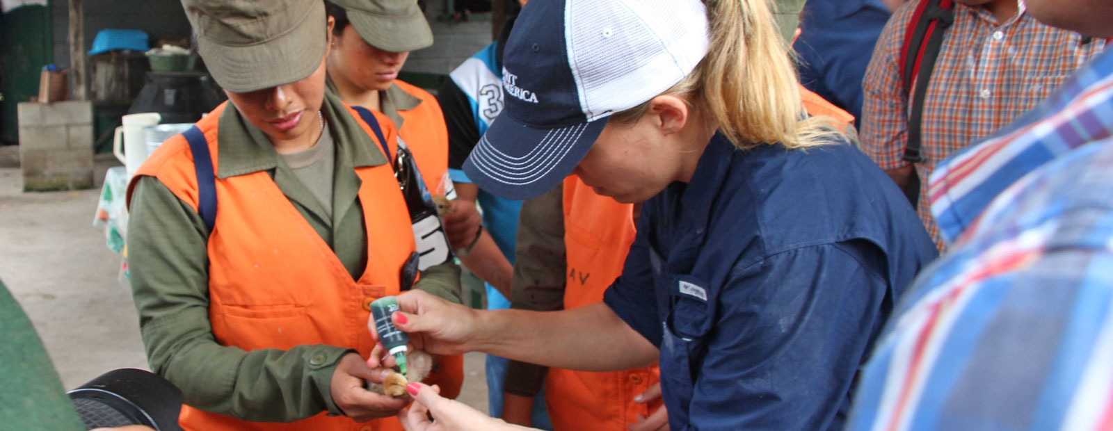 Spirit of America supports livestock health near the Guatemala-Mexico border