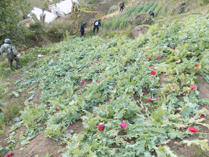 Help a US Army team promote education and prevent the cultivation of illicit crops in Guatemala