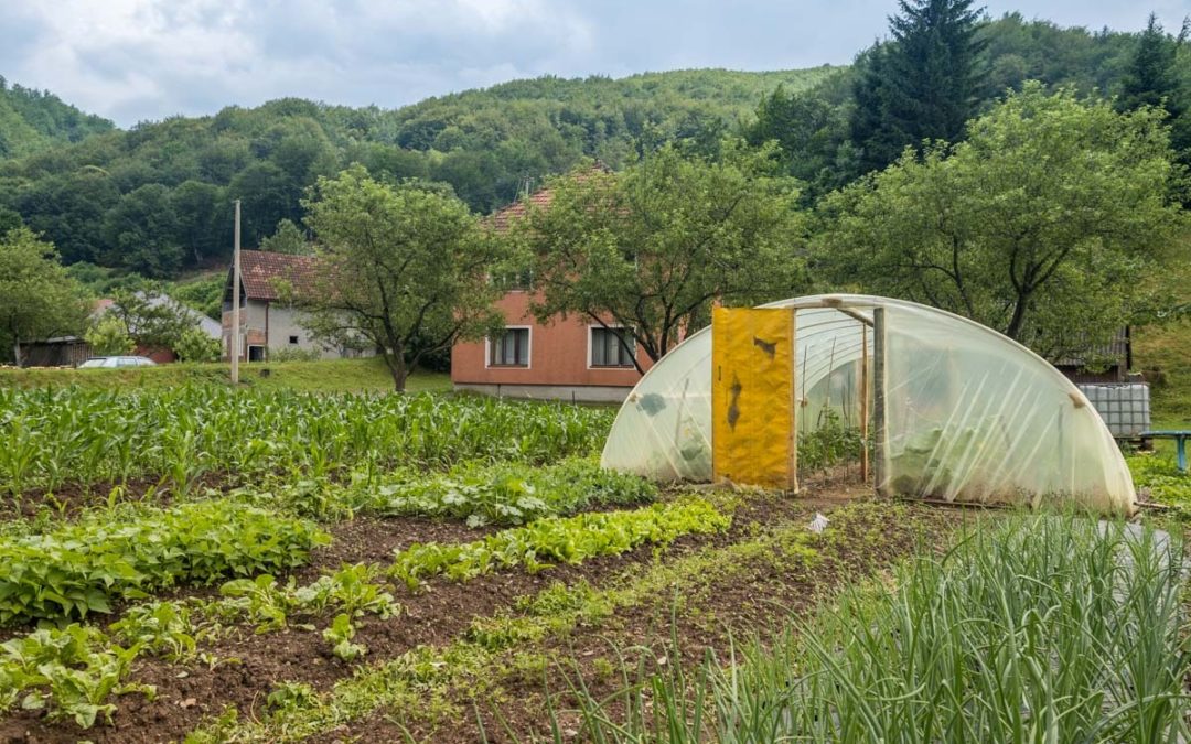 Prevent a food security crisis in Montenegro