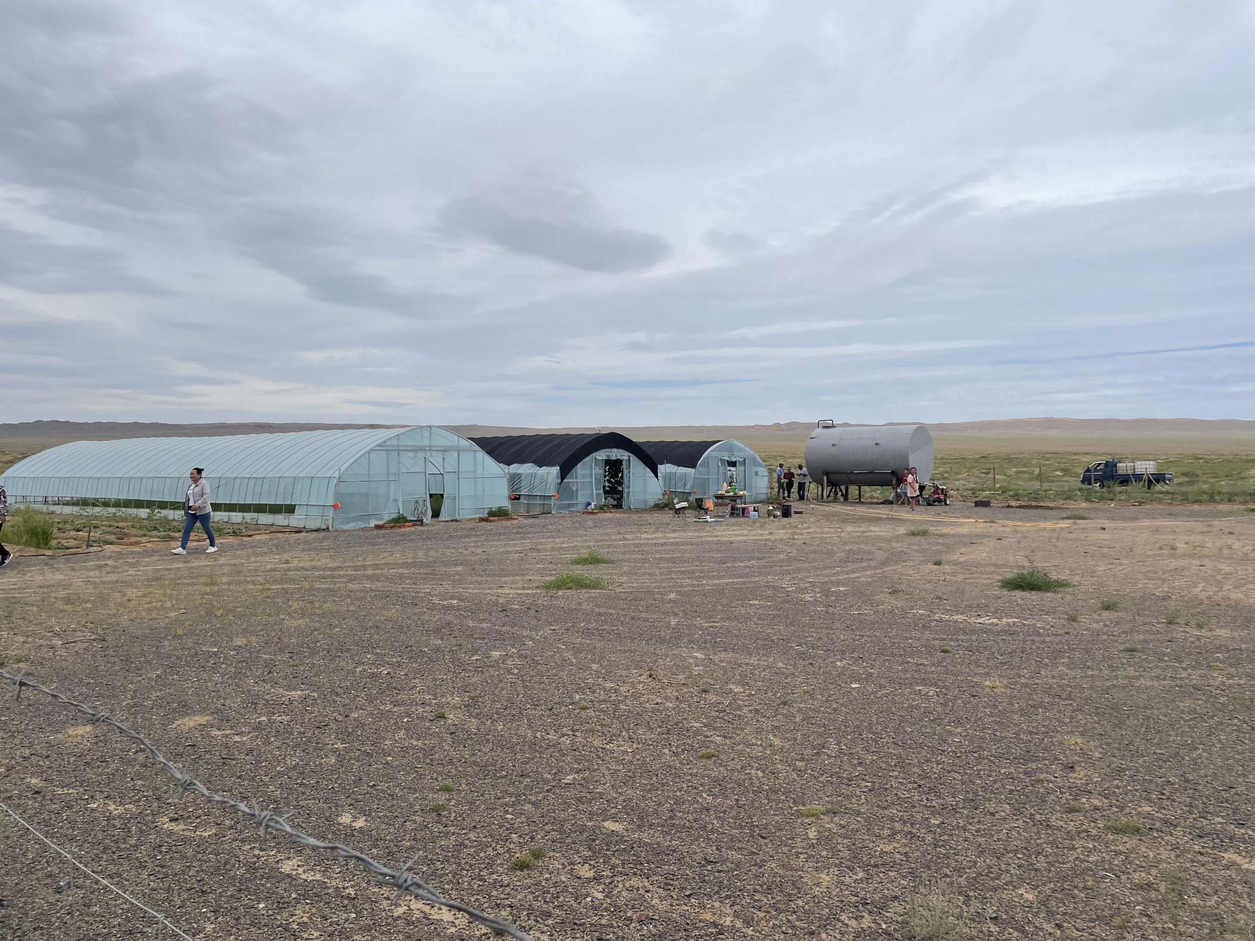 Greenhouse in Mongolia
