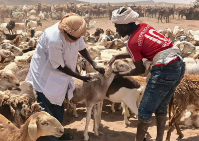 Preventing War in West Africa