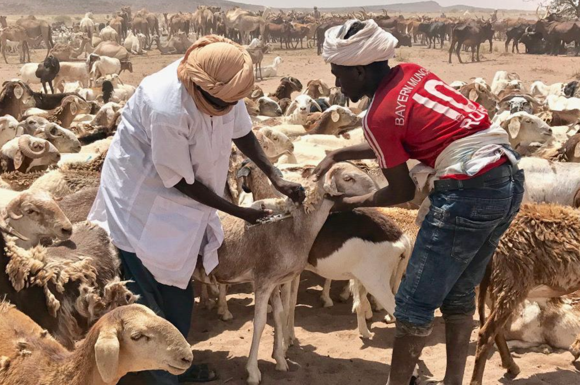 Preventing War in West Africa