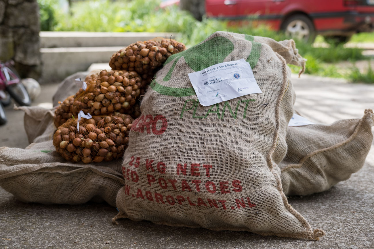 SOA-seed-distribution-8_abepn9
