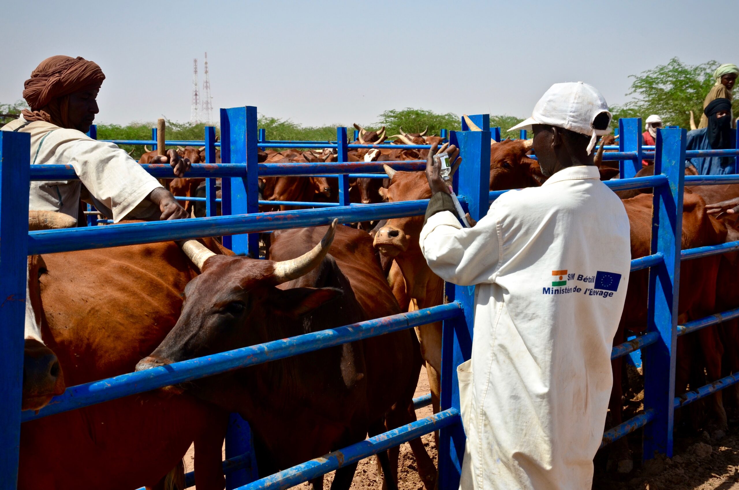 7_Niger_aujxef-1